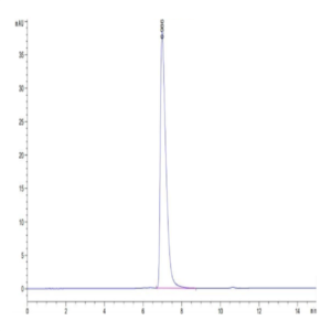 Cynomolgus NCAM-1/CD56 Protein (CAM-CM156)