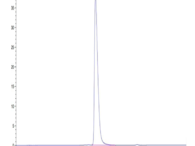 Cynomolgus NCAM-1/CD56 Protein (CAM-CM156)