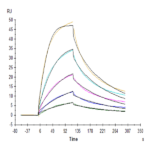 Cynomolgus/Rhesus macaque EpCAM/TROP1 Protein (CAM-CM1EP)