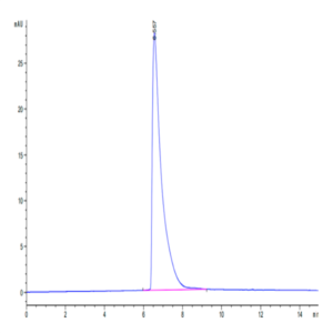 Human CEACAM-5/CD66e Protein (CAM-HM105)