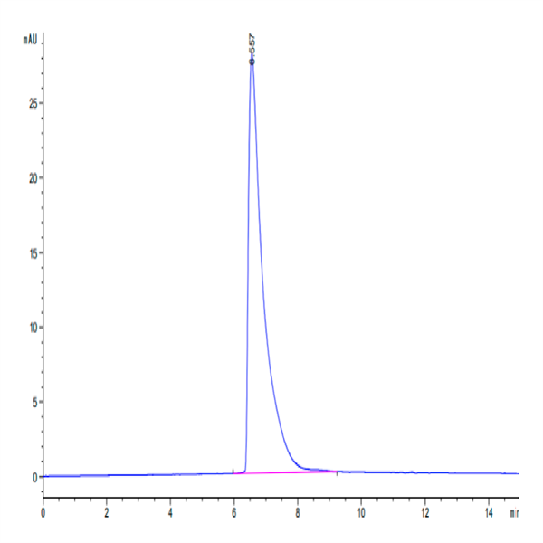 Human CEACAM-5/CD66e Protein (CAM-HM105)