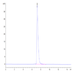 Human NCAM-1/CD56 Protein (CAM-HM156)