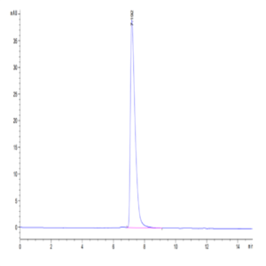 Human NCAM-1/CD56 Protein (CAM-HM156)