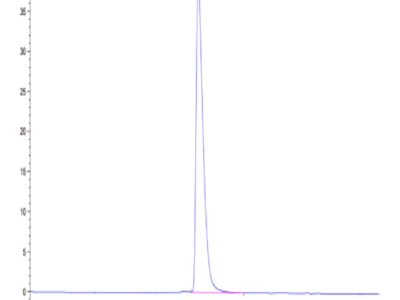 Human NCAM-1/CD56 Protein (CAM-HM156)