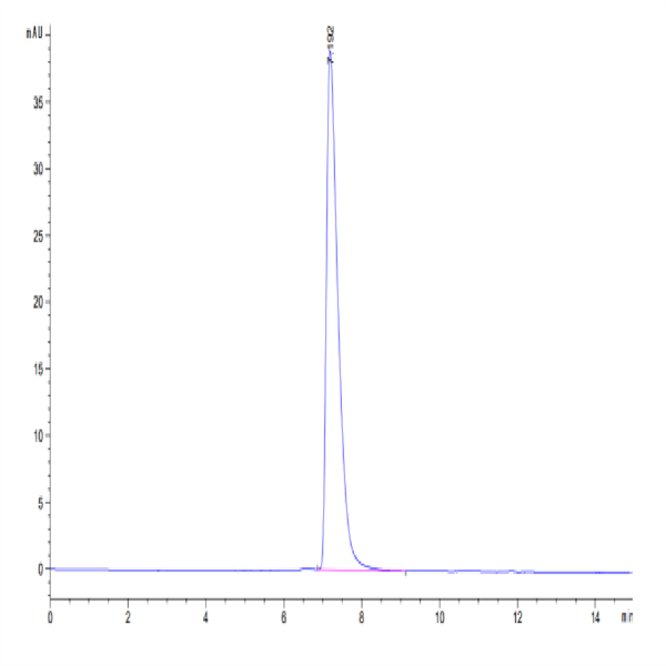 Human NCAM-1/CD56 Protein (CAM-HM156) Human NCAM-1/CD56 Protein (CAM-HM156)
