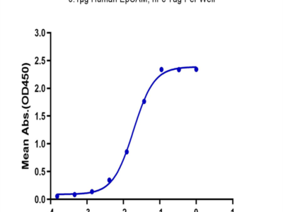 Human EpCAM/TROP1 Protein (CAM-HM2EP)