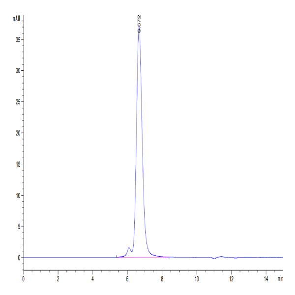 Human EpCAM/TROP1 Protein (CAM-HM2EP)