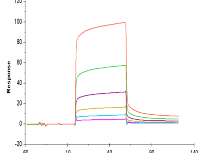 Human CEACAM-6/CD66c Protein (CAM-HM406)