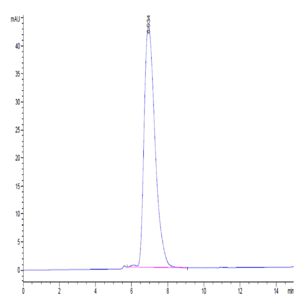 Human CEACAM-6/CD66c Protein (CAM-HM406)