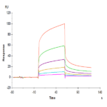 Biotinylated Human CEACAM-6/CD66c Protein (CAM-HM406B)