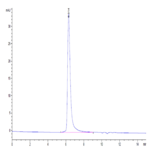 Biotinylated Human CEACAM-6/CD66c Protein (CAM-HM406B)