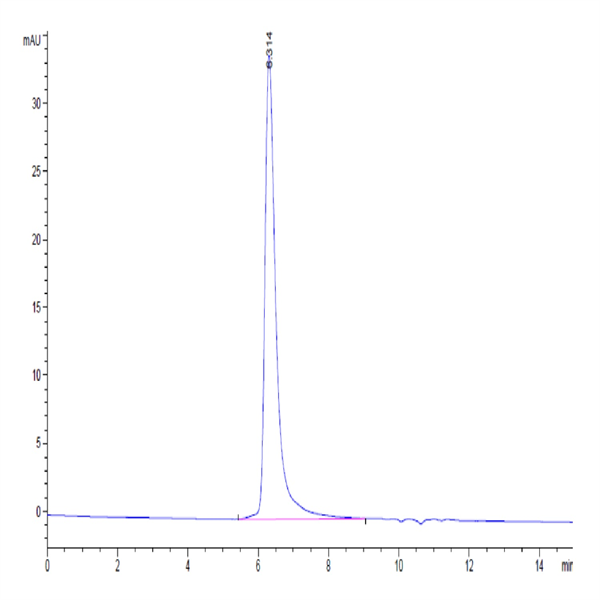 Biotinylated Human CEACAM-6/CD66c Protein (CAM-HM406B)