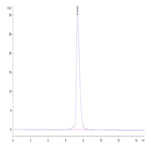 Mouse NCAM-1/CD56 Protein (CAM-MM156)