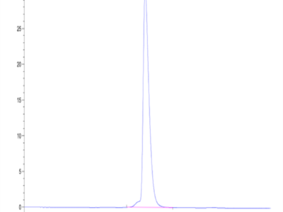 Mouse NCAM-1/CD56 Protein (CAM-MM156)