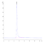 Human CKAP4 Protein (CAP-HE1P4)