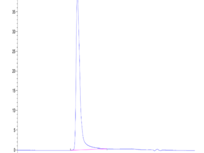 Human CKAP4 Protein (CAP-HE1P4)