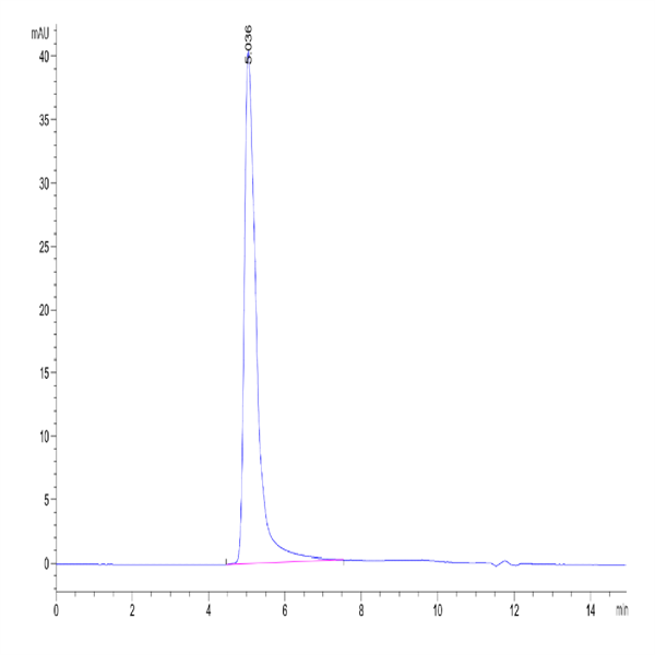 Human CKAP4 Protein (CAP-HE1P4) Human CKAP4 Protein (CAP-HE1P4)