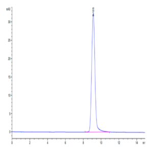 Cynomolgus carbonic anhydrase XII Protein (CAS-CM112)