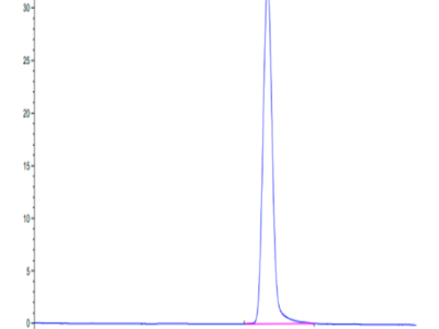 Cynomolgus carbonic anhydrase XII Protein (CAS-CM112)