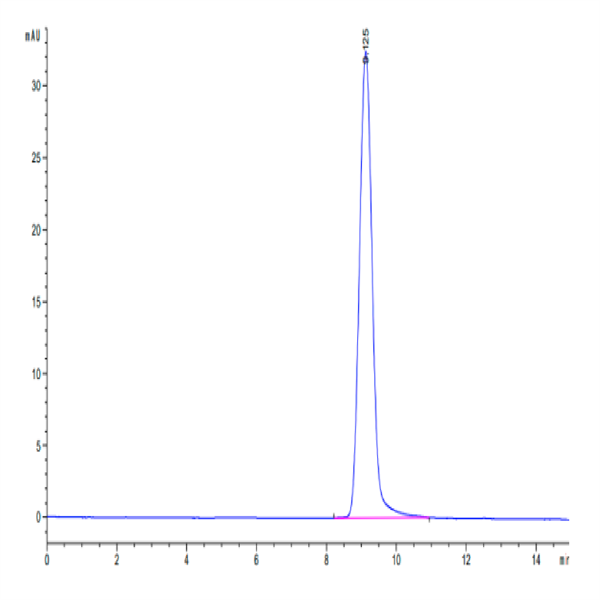 Cynomolgus carbonic anhydrase XII Protein (CAS-CM112)