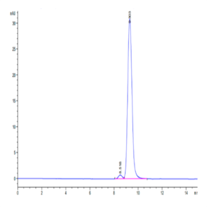 Human carbonic anhydrase XII Protein (CAS-HM112)