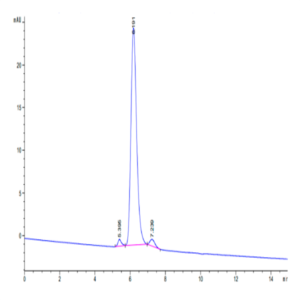 Cynomolgus Complement Component C2 Protein (CC2-CM101)