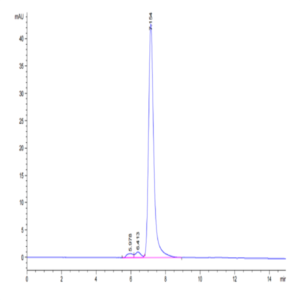 Cynomolgus PTK7/CCK4 Protein (CCK-CM104)