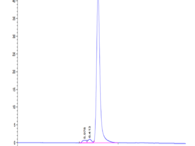 Cynomolgus PTK7/CCK4 Protein (CCK-CM104)