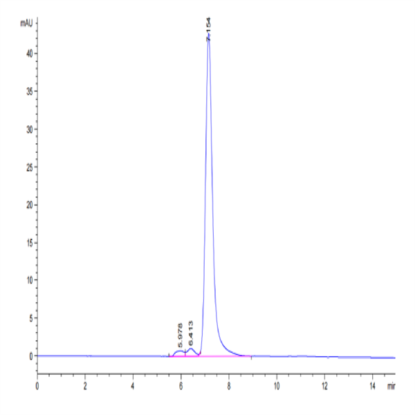Cynomolgus PTK7/CCK4 Protein (CCK-CM104) Cynomolgus PTK7/CCK4 Protein (CCK-CM104)