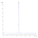 Human PTK7/CCK4 Protein (CCK-HM104)