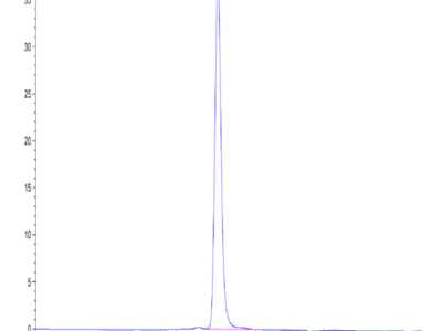 Human PTK7/CCK4 Protein (CCK-HM104)