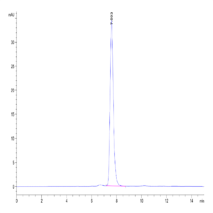 Mouse PTK7/CCK4 Protein (CCK-MM104)