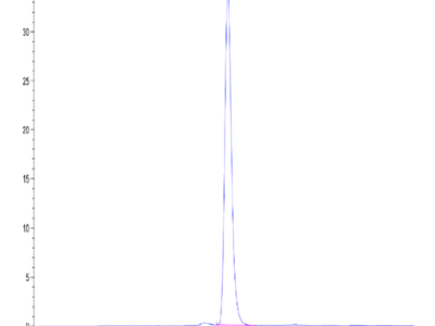 Mouse PTK7/CCK4 Protein (CCK-MM104)