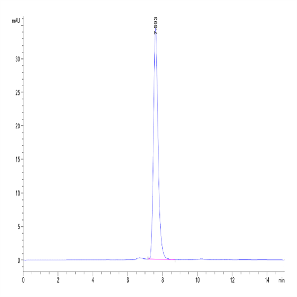 Mouse PTK7/CCK4 Protein (CCK-MM104) Mouse PTK7/CCK4 Protein (CCK-MM104)