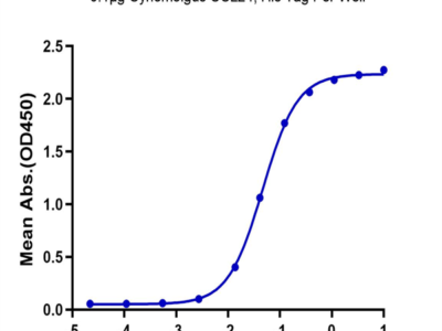 Cynomolgus CCL24 Protein (CCL-CM124)