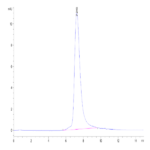 Cynomolgus CCL24 Protein (CCL-CM124)