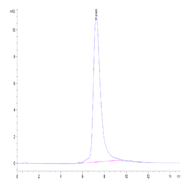 Cynomolgus CCL24 Protein (CCL-CM124)