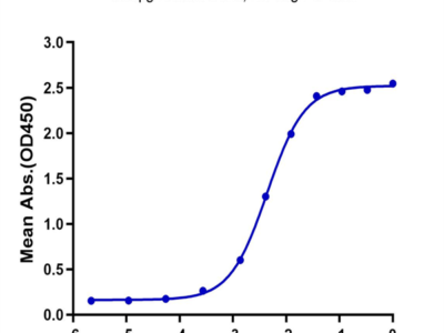 Human CCL5 Protein (CCL-HE105)