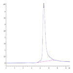 Human CCL11 Protein (CCL-HE111)