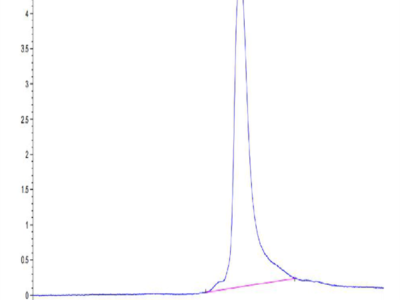 Human CCL11 Protein (CCL-HE111)