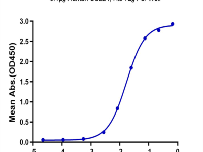 Human CCL24 Protein (CCL-HM124)