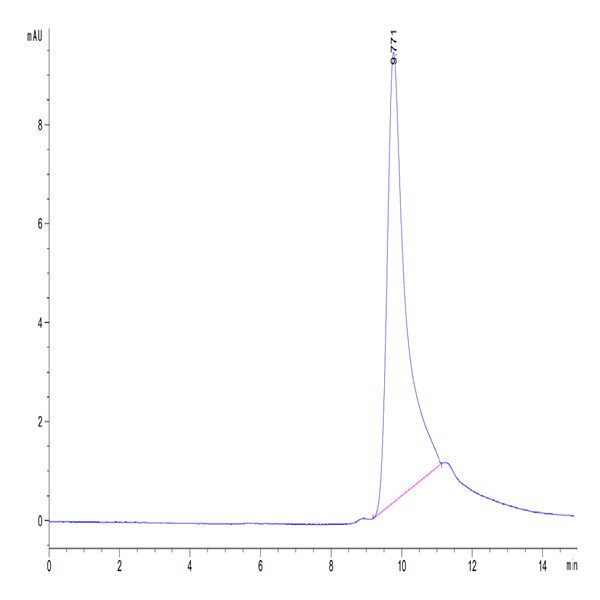 Human CCL24 Protein (CCL-HM124)