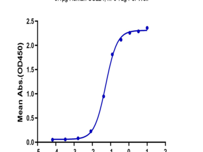 Human CCL24 Protein (CCL-HM224)