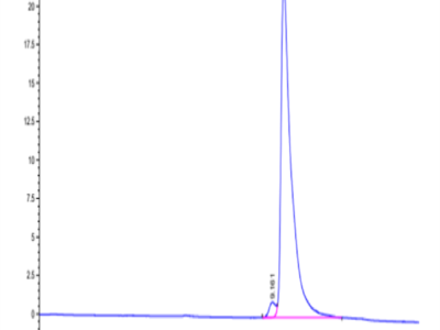 Mouse CCL8 Protein (CCL-ME108)