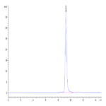 Mouse CCL24 Protein (CCL-MM124)