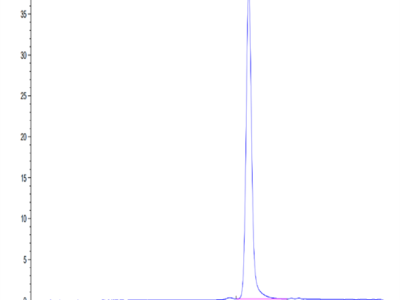 Mouse CCL24 Protein (CCL-MM124)