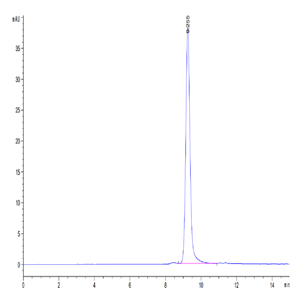 Mouse CCL24 Protein (CCL-MM124) Mouse CCL24 Protein (CCL-MM124)