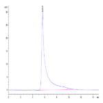 Mouse CCL5 Protein (CCL-MM205)