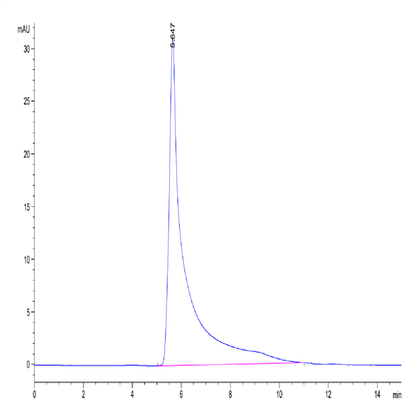 Mouse CCL5 Protein (CCL-MM205)