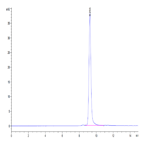 Mouse CCL24 Protein (CCL-MM224) Mouse CCL24 Protein (CCL-MM224)